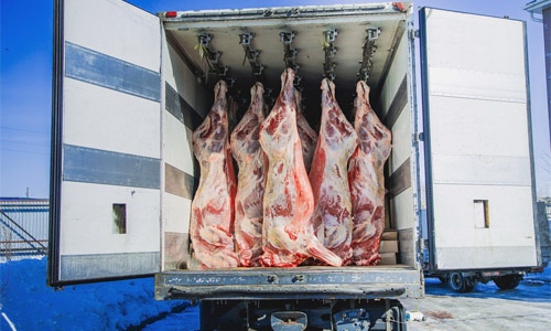 Доставляем скоропортящиеся продукты: везём, торопимся!